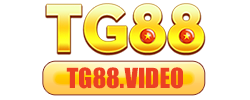 tg88.video